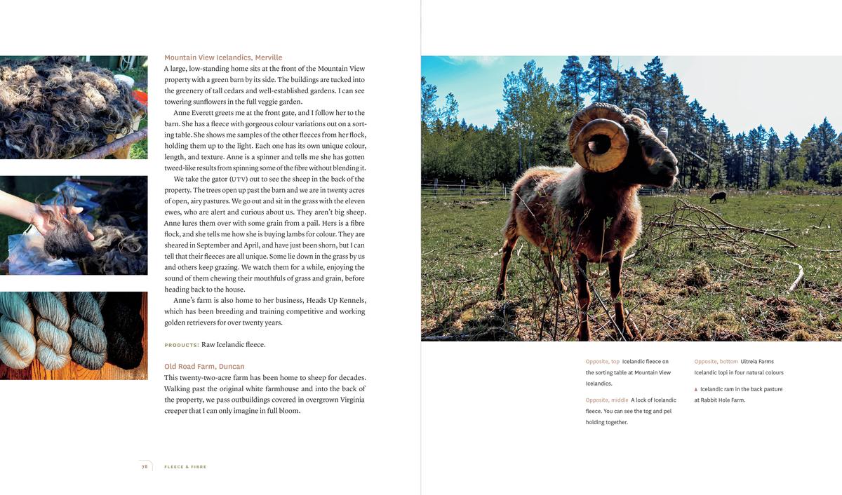 Fleece and Fibre: Textile Producers of Vancouver Island and the Gulf Islands - Image 6