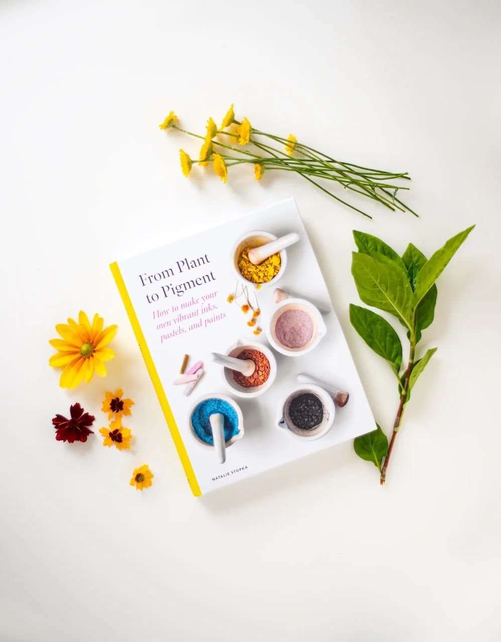 From Plant to Pigment: How to Make Paint, Pastels and Chalks from Plants - Image 13