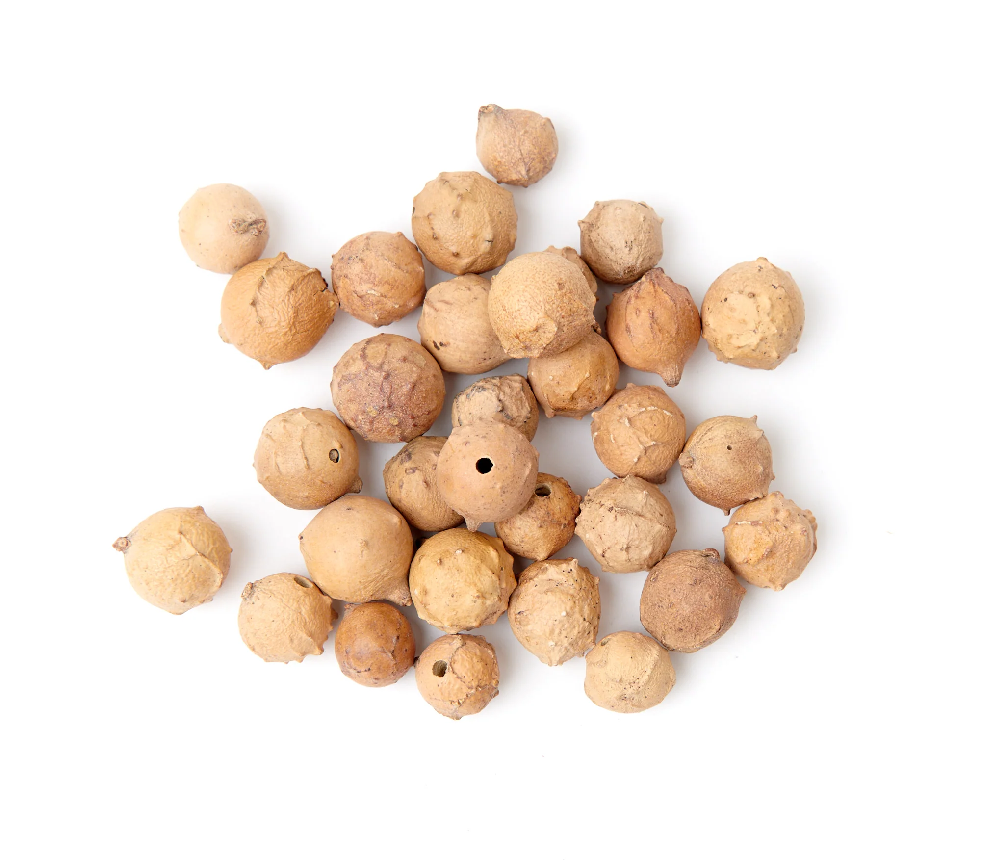 Gallnut Ground 2.5 kg (5.5 lb.) - Image 3