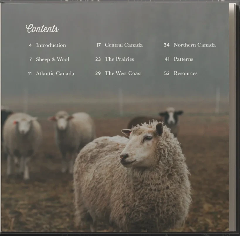 Sheep, Shepard & Land by Anna Hunter - Image 2